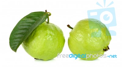 Guava Fruit Isolated On The White Background Stock Photo