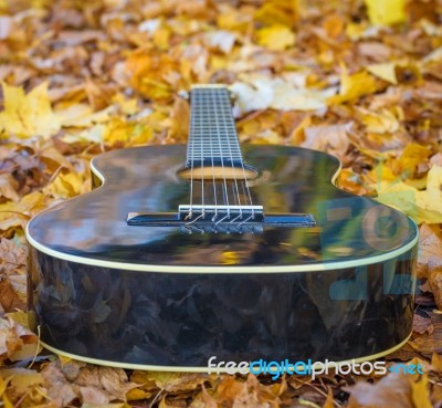 Guitar Laying Between Leafs Stock Photo