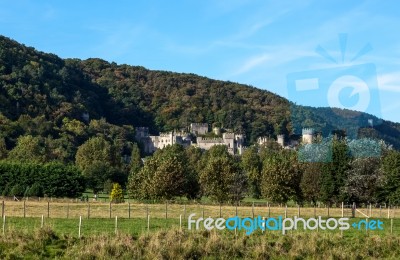 Gwrych Castle Stock Photo