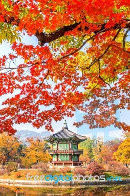 Gyeongbokgung Palace In Autumn,south Korea Stock Photo Gyeongbokgung Palace In Autumn,south Korea Stock Photo
