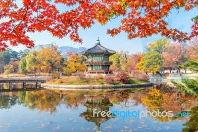 Gyeongbokgung Palace In Autumn,south Korea Stock Photo