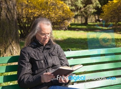 Haired Elderly Man Reading A Book Sitting On A Bench In City Par… Stock Photo