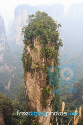 Hallelujah Mountain In Zhangjiajie National Park ( Tian Zhi Shan ) ( Tianzi Mountain Nature Reserve ) And Fog , China Stock Photo