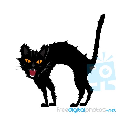 Halloween Growl Black Cat Stock Image