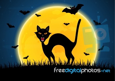 Halloween Growl Black Cat Bat Moon Graveyard Stock Image