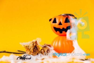 Halloween Jack O Lantern Bucket With Dried Rose Stock Photo