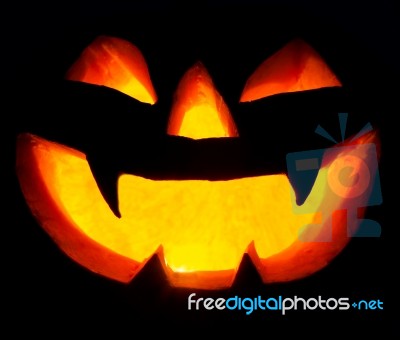 Halloween Pumpkin Stock Photo