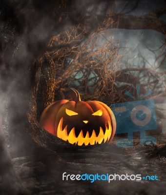 Halloween Pumpkin In Creepy Forest At Night,3d Illustration Stock Image