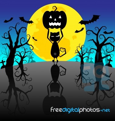 Halloween Pumpkins And Black Cat On The Night Background Stock Image