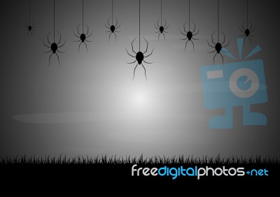 Halloween Spider Group  Stock Image