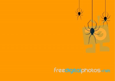 Halloween Spider Hanging Web Background Stock Image