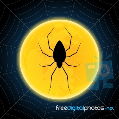 Halloween Spider Hanging Web Moon Background Stock Image