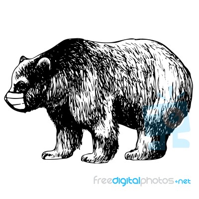 Hand Drawn Illustration Of Bear With Mask Stock Image