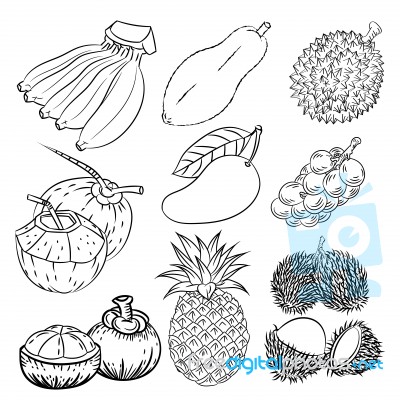 Hand Drawn Set Of Different Tropical Fruits- Sketch Design Stock Image