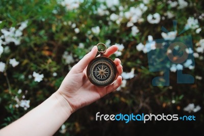 Hand Holding A Stopwatch/watch Stock Photo