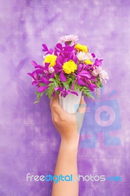 Hand Holding Bouquet Of Chrysanthemum And Orchid Flowers Isolate… Stock Photo
