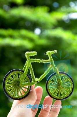 Hand Holding Eco Bicycle Stock Photo