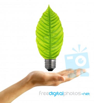 Hand Holding Eco Bulb Stock Photo