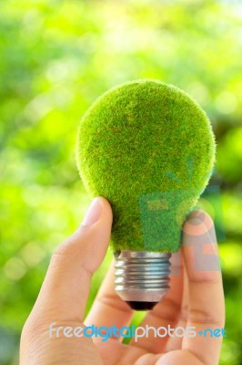 Hand Holding Eco Light Bulb Stock Photo