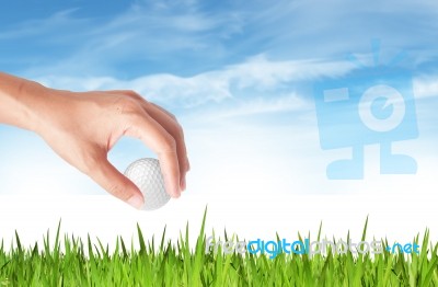 Hand Holding Golf Ball Stock Photo