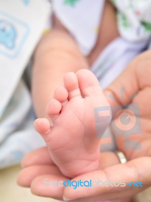 Hand Holding Infant Foot Stock Photo