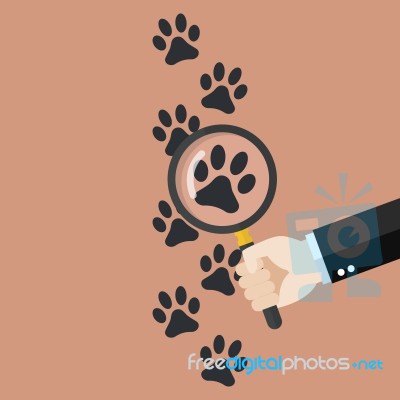 Hand Holding Magnifying Glass Over Paw Print Stock Image