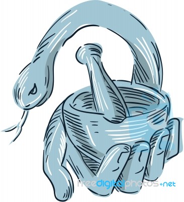 Hand Holding Mortar And Pestle Snake Drawing Stock Image