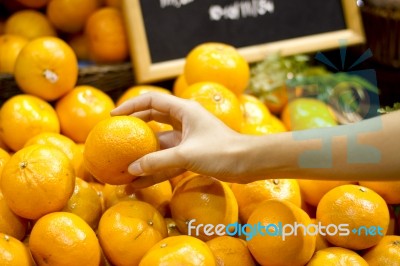 Hand Holding Orange Stock Photo