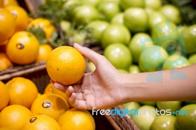 Hand Holding Orange Stock Photo