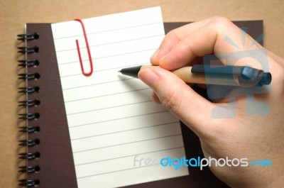 Hand Holding Pen For Writing Stock Photo Hand Holding Pen For Writing Stock Photo