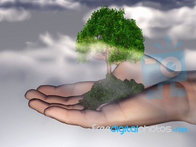 Hand Holding Tree Stock Image