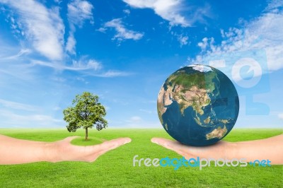 Hand Holding Tree And Earth Stock Photo