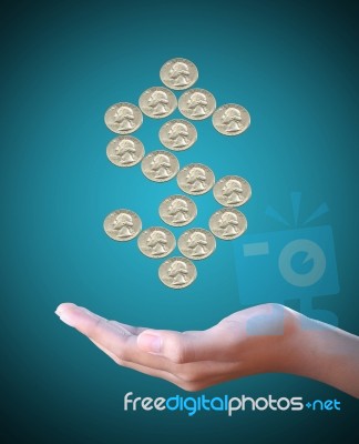 Hand Holds Dollar Coin Sign  Stock Photo