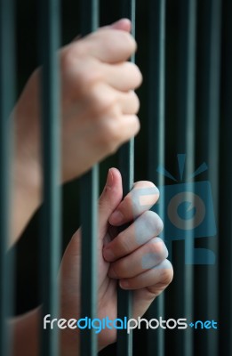 Hand In Jail Stock Photo