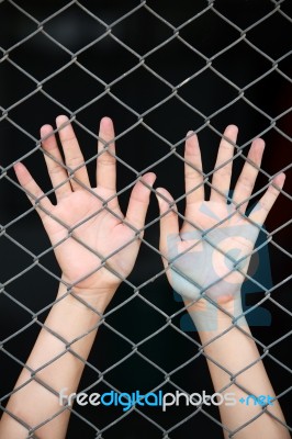 Hand In Jail Stock Photo