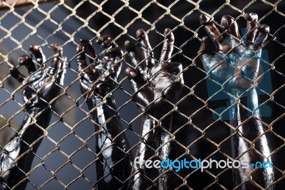 Hand In Jail Stock Photo