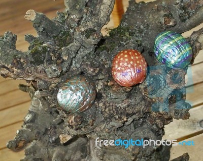 Hand Painted Walnuts Shells Stock Photo
