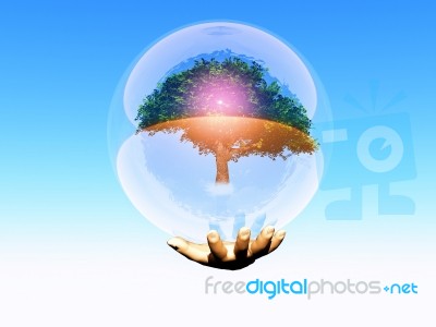 Hand With Bubble And Tree Inside Stock Image