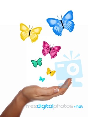 Hand With Butterfly Stock Image