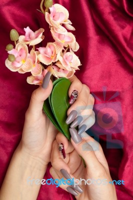 Hand With French Manicure Stock Photo