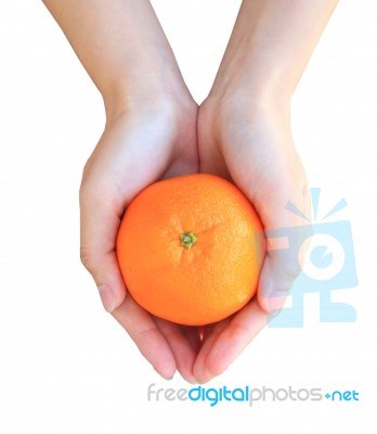 Hands Holding Orange Stock Photo