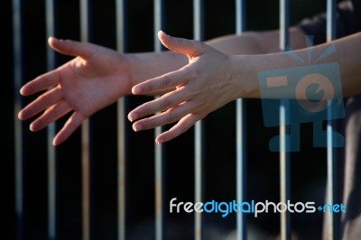 Hands In Jail Stock Photo