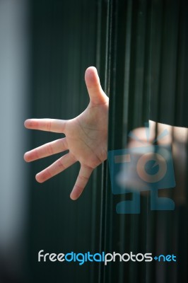 Hands Of Children In Jail Stock Photo