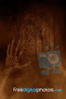 Hands Of Evil In Haunted Forest,3d Illustration,horror Concept B… Stock Image
