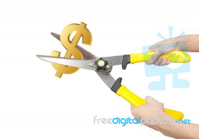 Hands With Scissors Cutting Us Dollar Stock Image