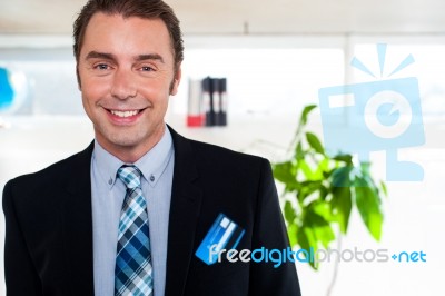 Handsome Business Executive Smiling At The Camera Stock Photo