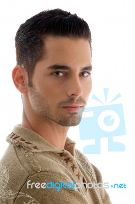 Handsome Young Guy Posing And Looking At Camera Stock Photo