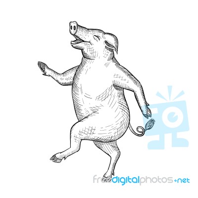 Happy Pig Dancing Drawing Retro Black And White Stock Image