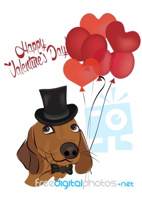 Happy Valentine's Day. Love Card With Sausage Dog Stock Image