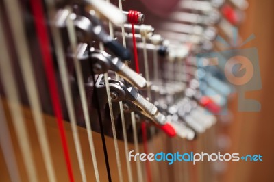 Harp Stock Photo